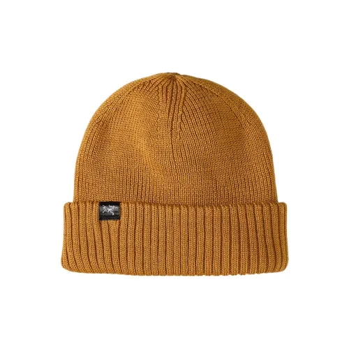 Arcteryx Переработанный полиэстер Шапки-бини Унисекс