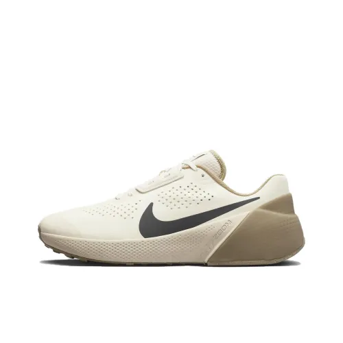 Nike Air Zoom TR 1 Low Топ Кроссовки для тренировок Мужской Светлый Коричневый
