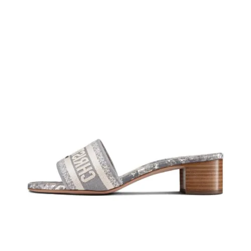 DIOR Dway Слипоны Женские