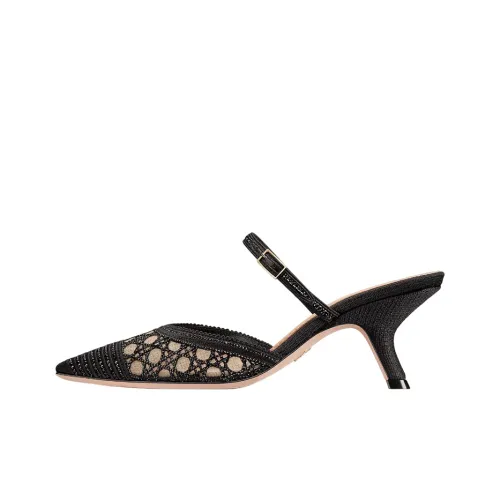 DIOR Capture Домашние тапочки Женские Черный