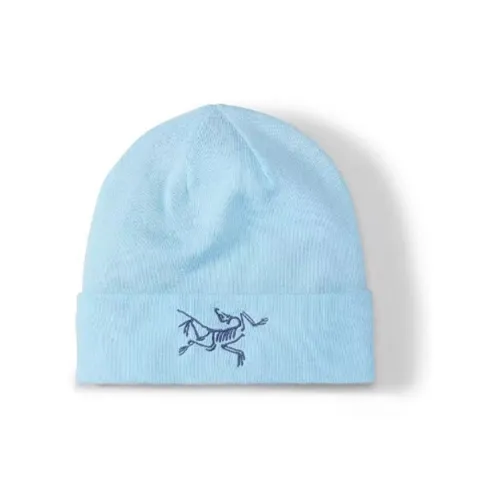 Arcteryx Шапки-бини Унисекс