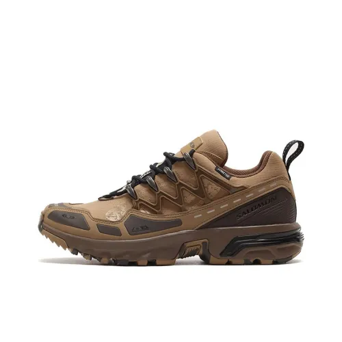 Salomon Collaboration ACS + CSWP Альпинистские и туристические ботинки Низкий верх Коричневый серый Мужской