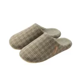 Ель Зеленая