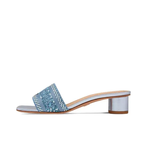 DIOR Dway Слипоны Женские Blue