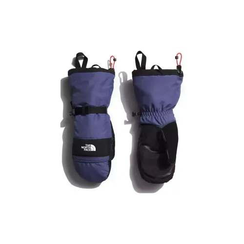 The North Face Переработанный полиэстер, PFC, полиэстер, полиуретан, искусственная кожа, плюшевые перчатки для мужчин