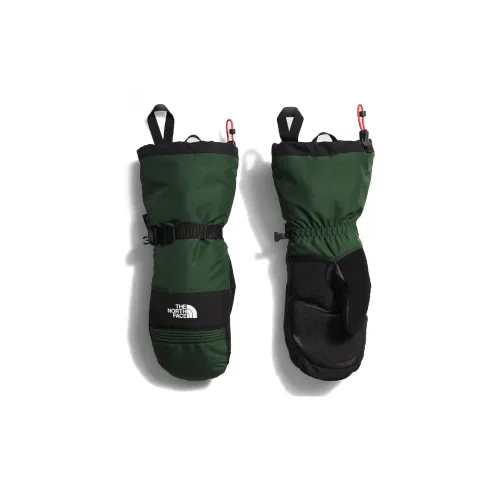The North Face Переработанный полиэстер, полиэстер, полиуретан, искусственная кожа, флис из переработанного полиэстера, переработанный полиэстер PILE Перчатки Мужской