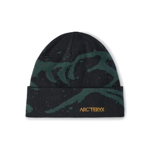 Arcteryx Переработанный полиэстер Шапки-бини Унисекс Черный