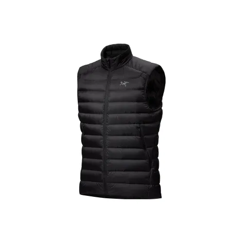 Arcteryx Cerium Мужские жилеты