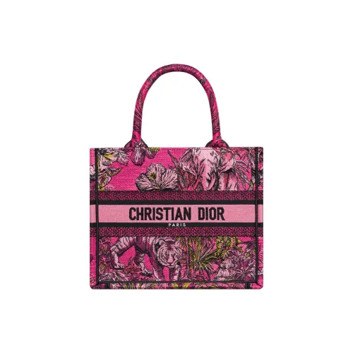 DIOR Вышивка Тоут Сумка Сумка для покупок Сумка Маленькая Женская Многоцветная