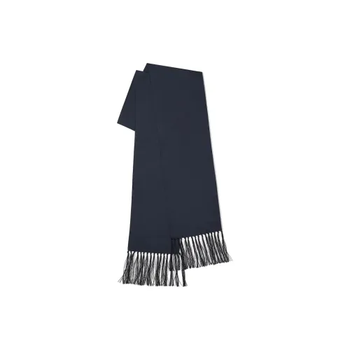 Ermenegildo Zegna Шелковые шарфы для женщин