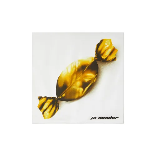 JIL SANDER Шелковые шарфы для женщин