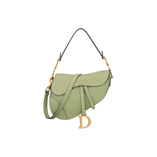 DIOR Седло Grained Телячья кожа Седло Сумка Сумка через плечо Сумка Обычный Женские Зеленый