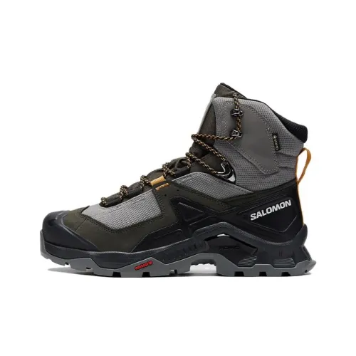 Ботинки для альпинизма и туризма Salomon Collaboration Quest Element, высокие, серые, мужские