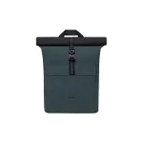 Зеленый алоэ для волос