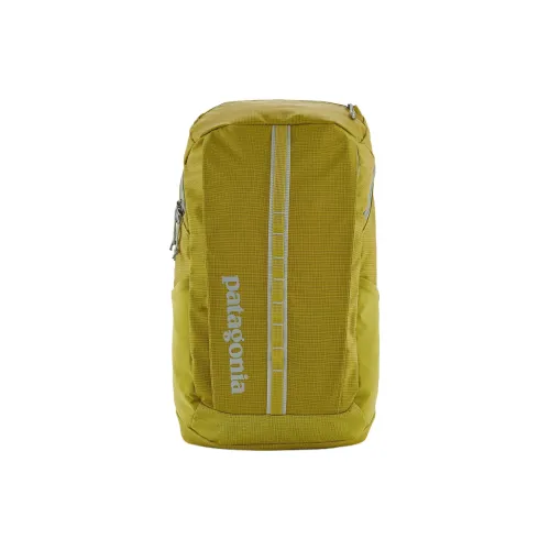 Patagonia Туристические сумки Photinia зеленый Мужской