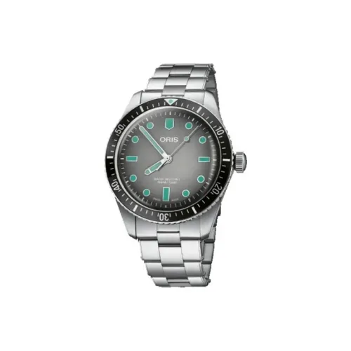 Oris Divers Collection Автоматический Механический Механизм Мужские Часы Часы 40 мм Серый Циферблат