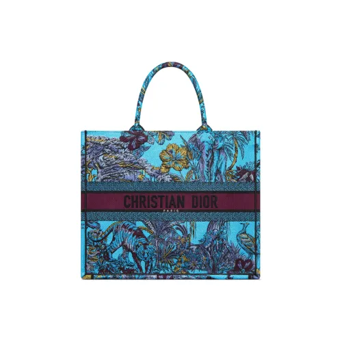 DIOR BookTote Вышивка Сумка-тоут Сумка для покупок Сумка Большая Женская Небесно-голубая и Многоцветная