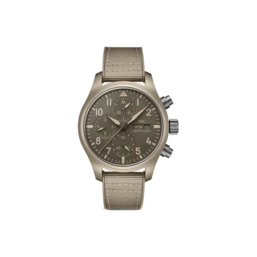 IWC Автоматический Механический Часы Мужской Pilot Collection 41,9mm*15,5mm Серые
