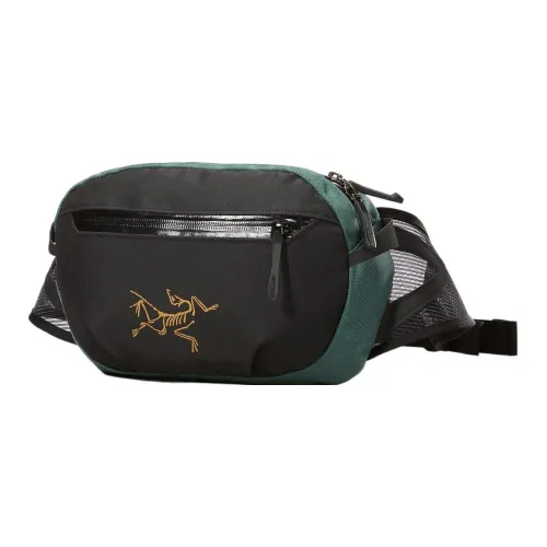 Arcteryx Arro 2,5L Бананка для денег Outdoor Сумка Нейлон Черный Magic Unisex