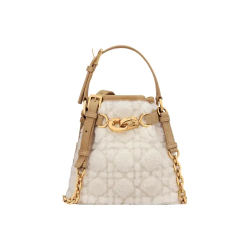 DIOR C'est Dior Cannet Shearling Сумка через плечо Сумка Маленькая Женская Экрю