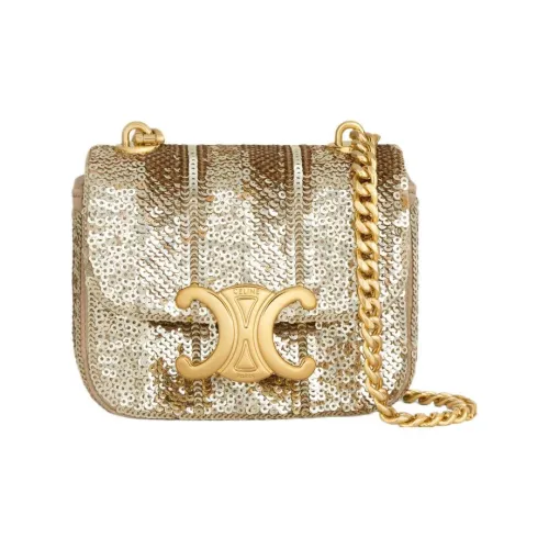 CELINE Блестки с шелковым атласом и овчиной Сумка через плечо Мини Женская Золотая