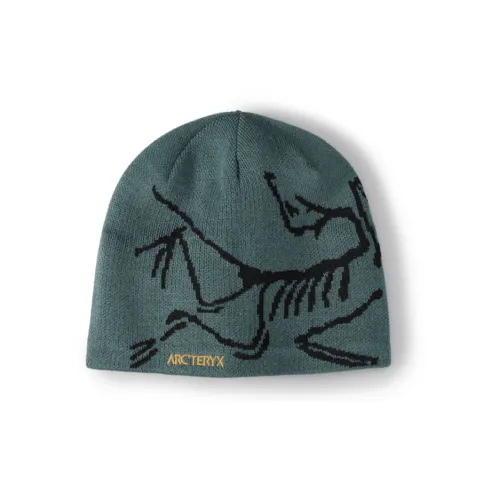 Arcteryx Merino Wool Beanies Unisex Green