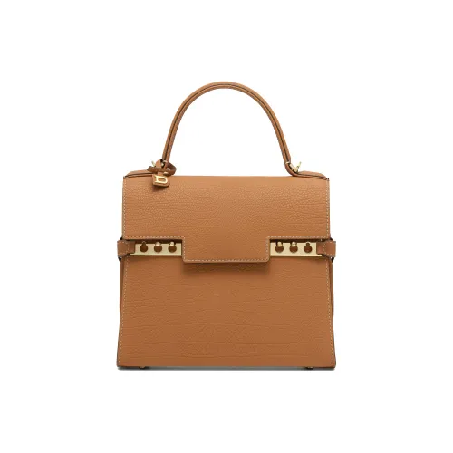 Delvau Tempête Сумка через плечо из крупнозернистой коровьей кожи маленькая сумка женская коричневая