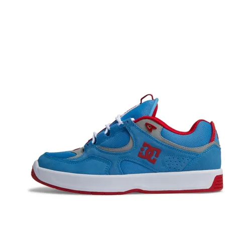 DC Shoes Скейтборд Кроссовки Низкие Унисекс