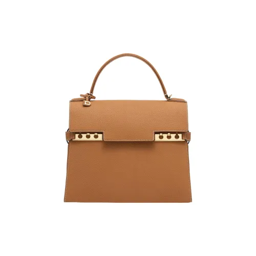 Delvau Tempête Рифленая Телячья Кожа Сумка через плечо Сумка среднего размера Женская Коричневая