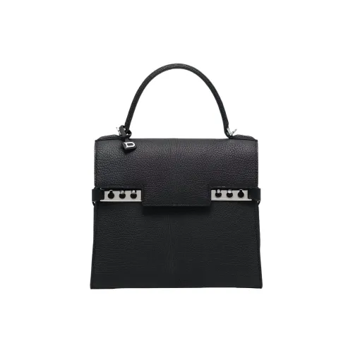 Delvau Tempête Рифленая Телячья Кожа Сумка через плечо Сумка среднего размера Женская Черная