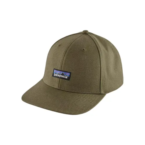 Patagonia Кепки Мужские Зеленые