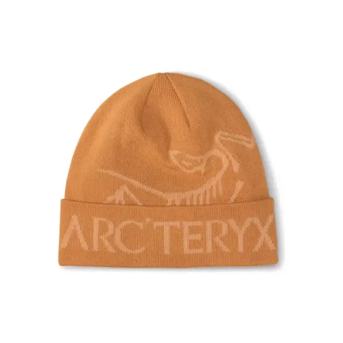 Arcteryx Переработанный полиэстер Шапки-бини Унисекс Желтый