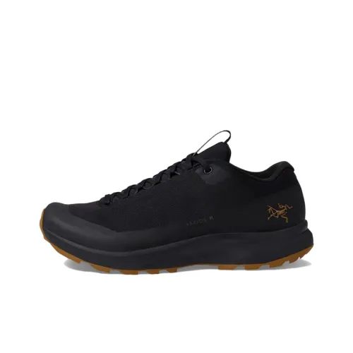 Arcteryx Aerios FL Амортизация Износостойкий Низкий Топ Уличная Обувь Женская Черная