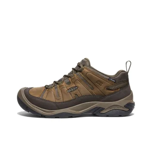 KEEN Circadia Slip-resistant Low Top Альпинистская походная обувь Мужская Коричневая
