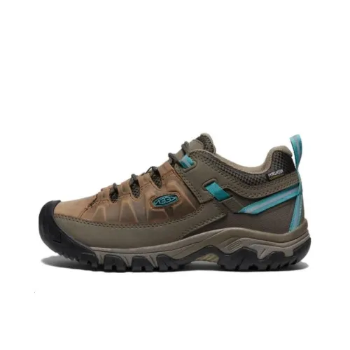KEEN Targhee III WP Амортизаторы Shock Slip-resistant Низкий топ Уличная обувь Женская Коричневый Синий