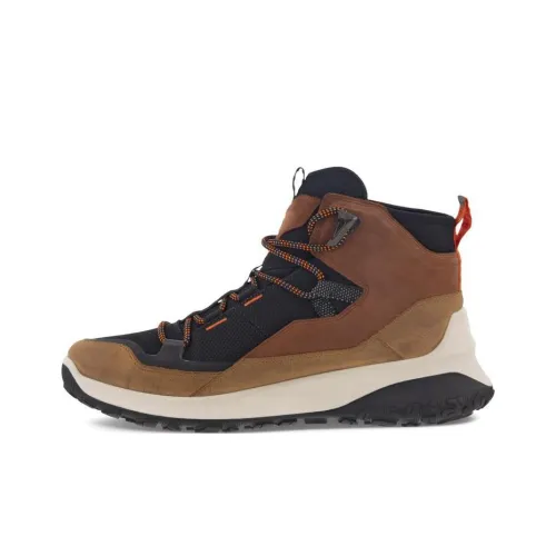 Ecco Casual Низкий Топ Коричневый Мужской
