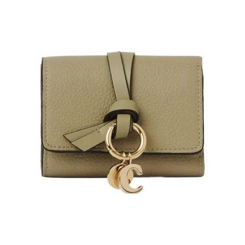 Chloe Alphabet с рельефным узором телячья кожа с глянцевым покрытием держатель для карт и кошелек мини женский терракотовый зеленый