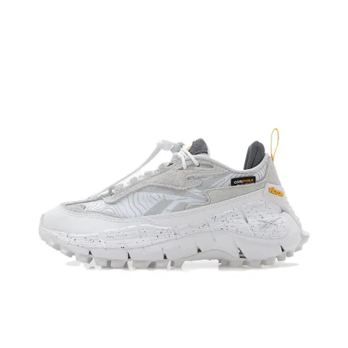 Reebok совместный бренд Zig Kinetica 2,5 Low Топ Повседневная Беговая Обувь Унисекс Белая