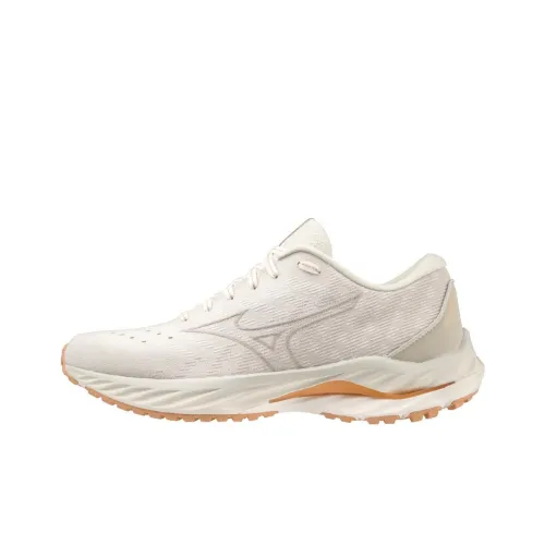 Кроссовки для бега Mizuno Wave Inspire 19, низкий топ, серый и белый, женские