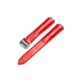 Серебристая пряжка, красная кожа