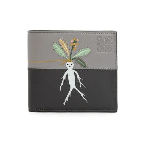 LOEWE Совместное издание Кошельки Мужской