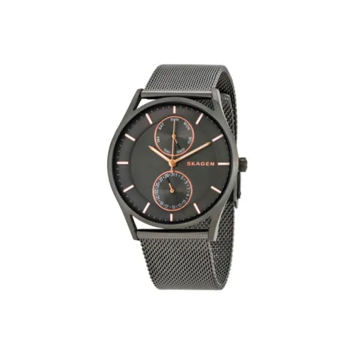 SKAGEN Holster Collection Кварцевые часы механизм ремешок из нержавеющей стали 40 мм серый циферблат унисекс