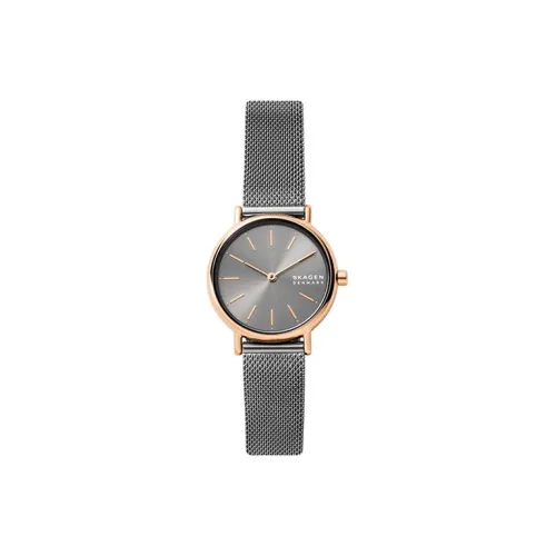 SKAGEN Women's Watch Кварцевый механизм ремешок из нержавеющей стали 30 мм серый циферблат