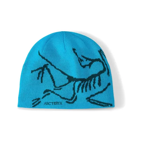 Arcteryx Шерсть Бини Унисекс TETRA Синий Зеленый