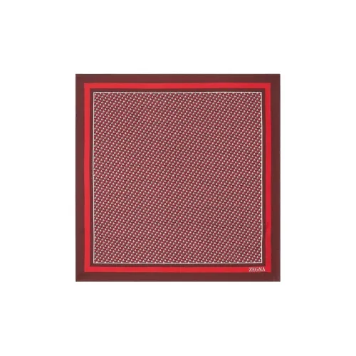 Ermenegildo Zegna Шелковые шарфы Мужской