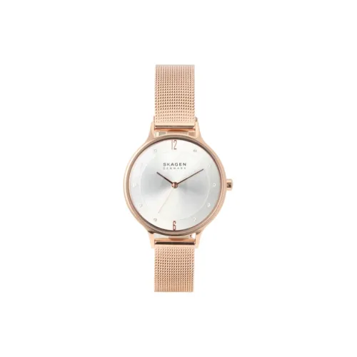 SKAGEN Women's Watch Кварцевый механизм ремешок из нержавеющей стали 30 мм серебристый циферблат
