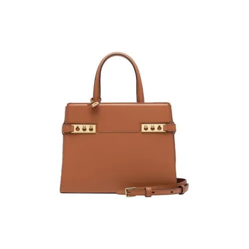 Delvau Tempête Рифленая Телячья Кожа Сумка через плечо Сумка Маленькая Женская Рыжевато-Коричневая