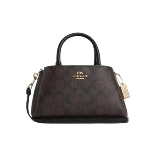 COACH ПВХ Искусственная кожа Одно плечо Сумка Женская Коричневый и Черный