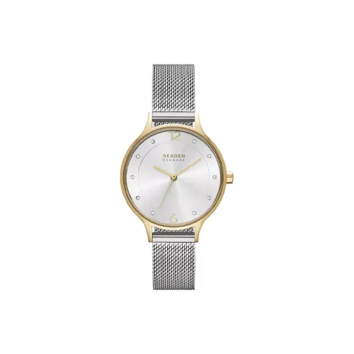 SKAGEN Women's Watch Кварцевый механизм ремешок из нержавеющей стали 30 мм серебристый циферблат