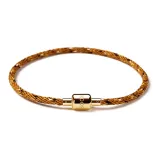 Золотая пряжка